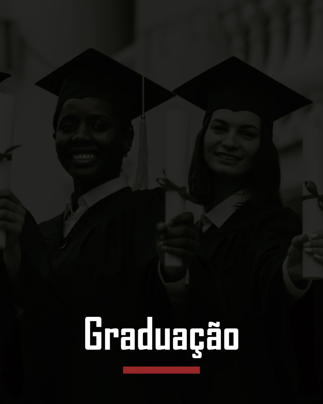 Banner 1