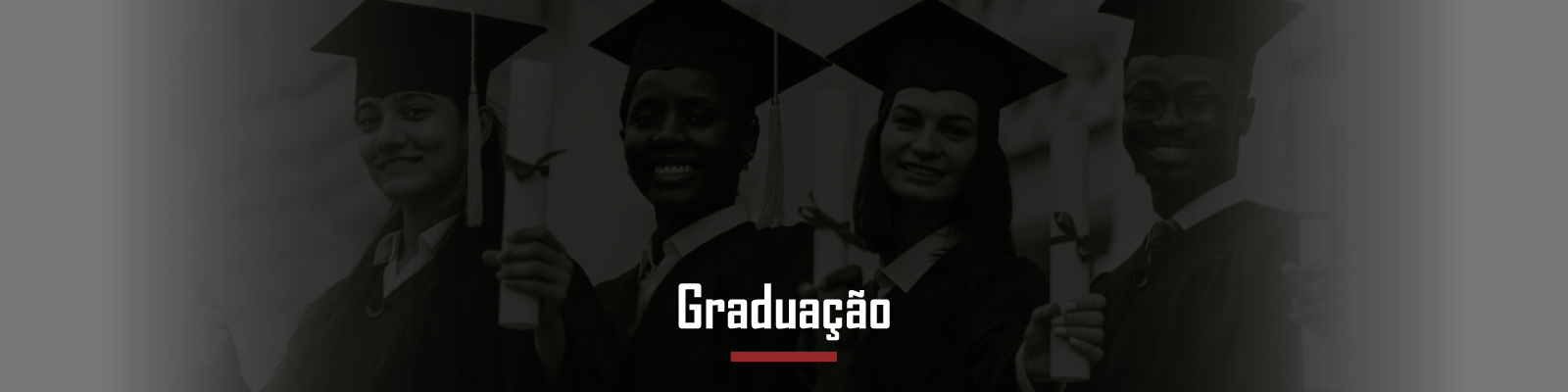 Banner 1