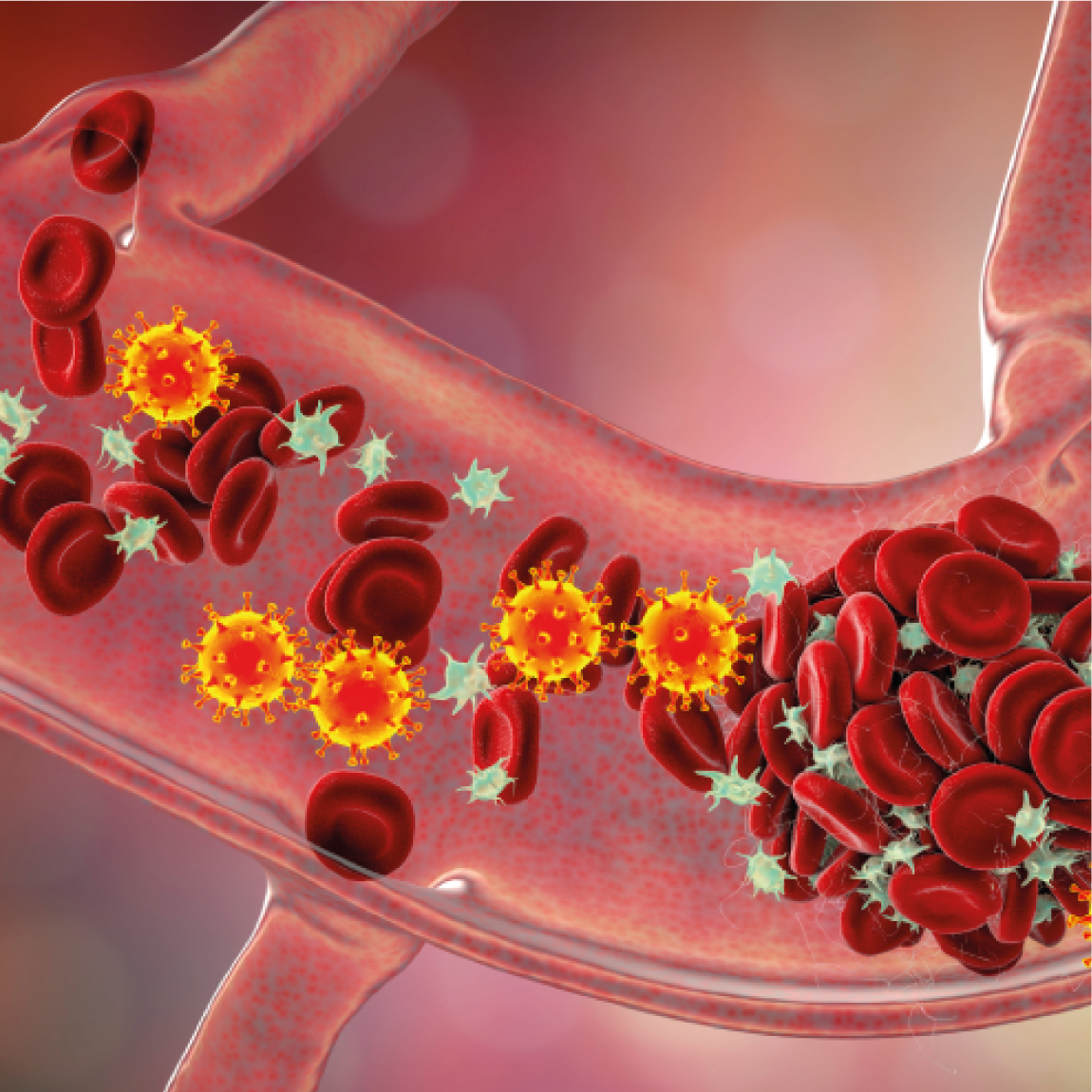 Capacitação avançada em cardiologia hemodinâmica para enfermeiros