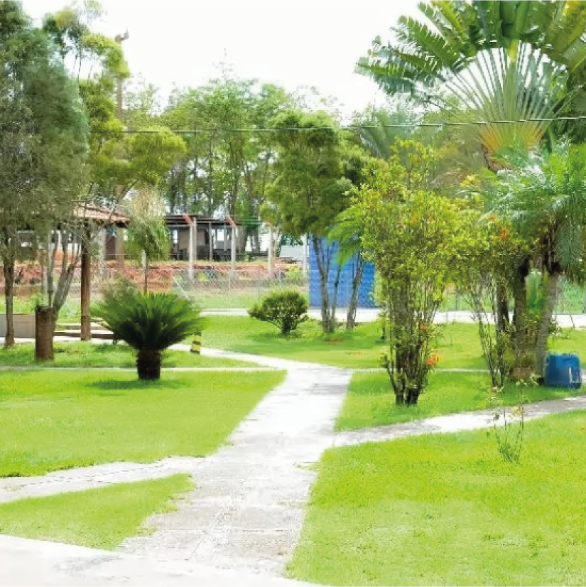 Atuação em clínicas e hospitais