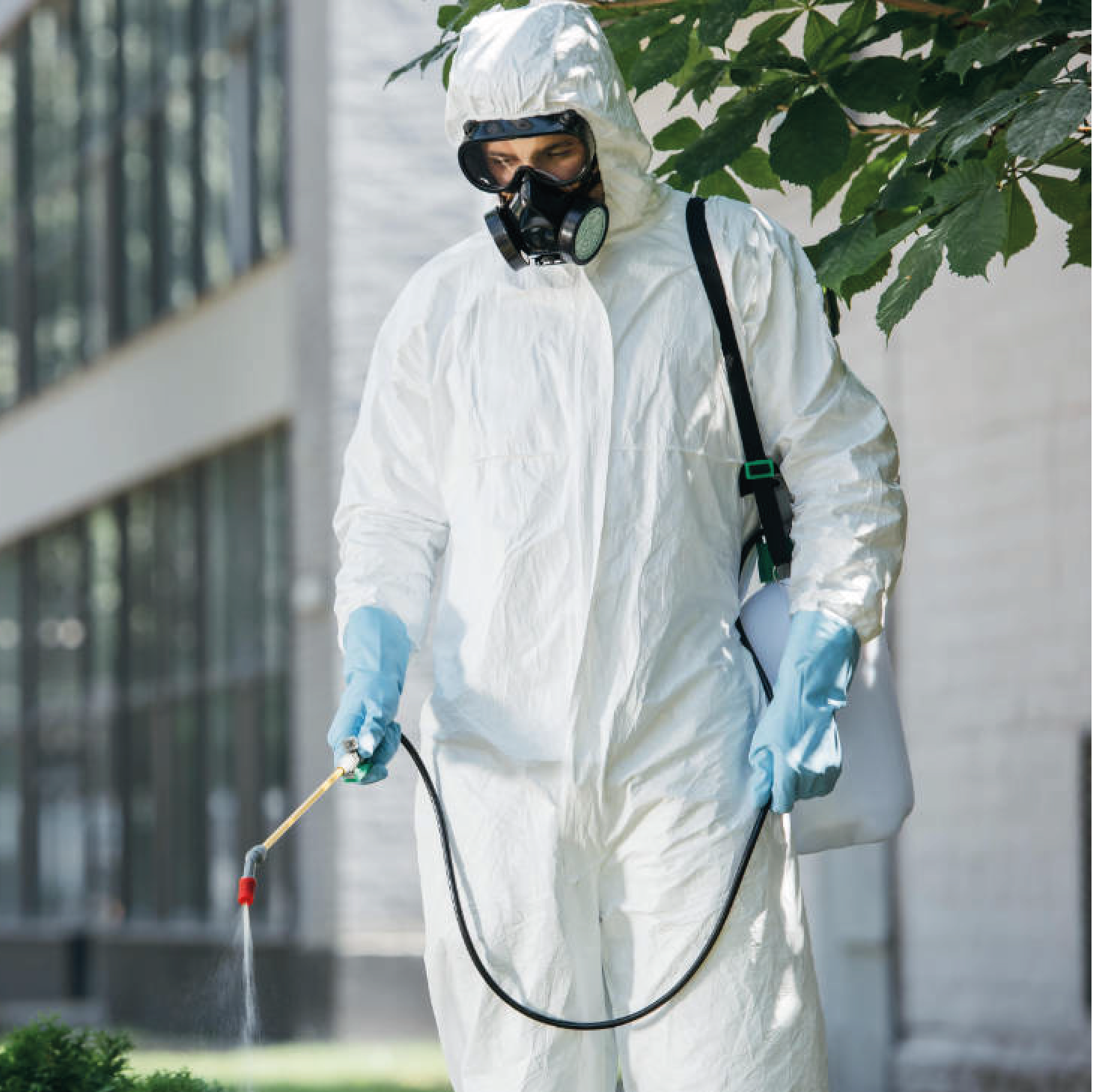 Conteúdo atualizado e relevante