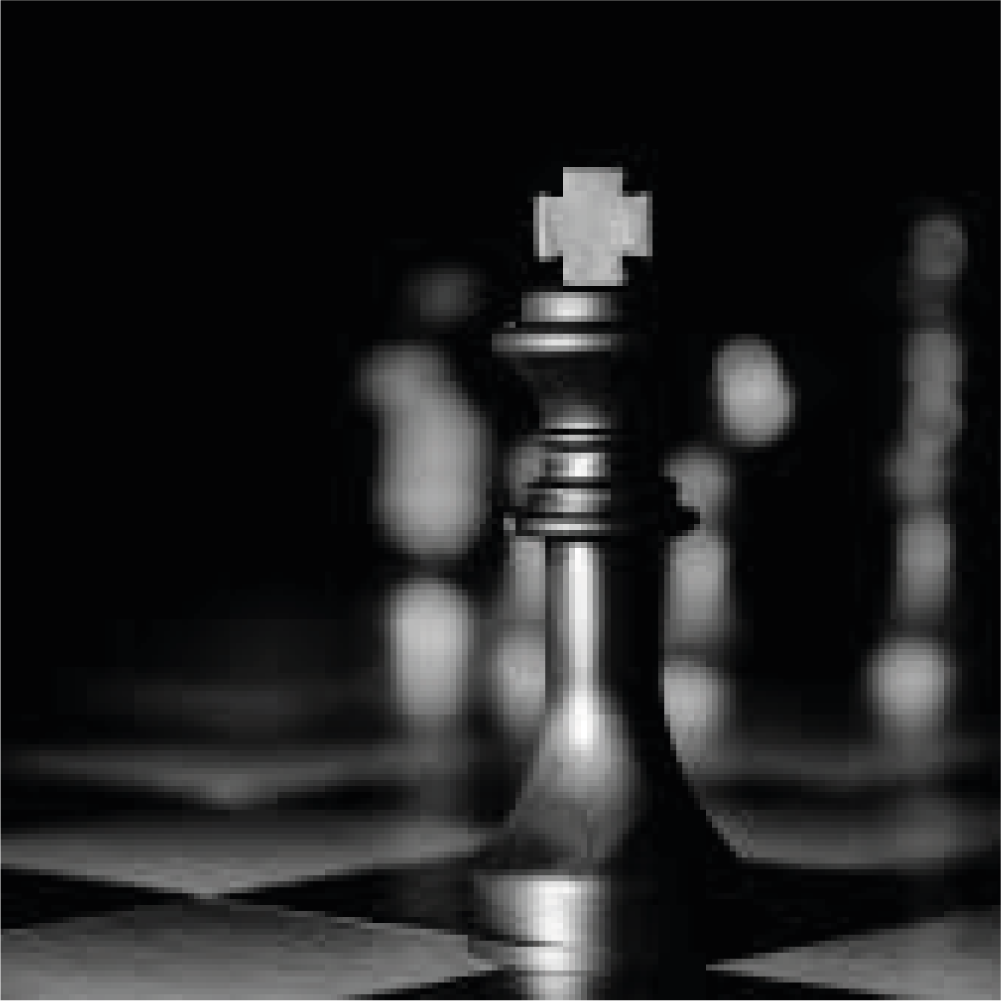 Professores de xadrez em um clube de xadrez