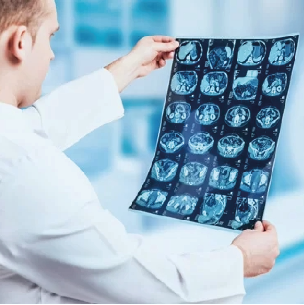 Curso de pós-graduação em reprodução assistida com foco em práticas laboratoriais