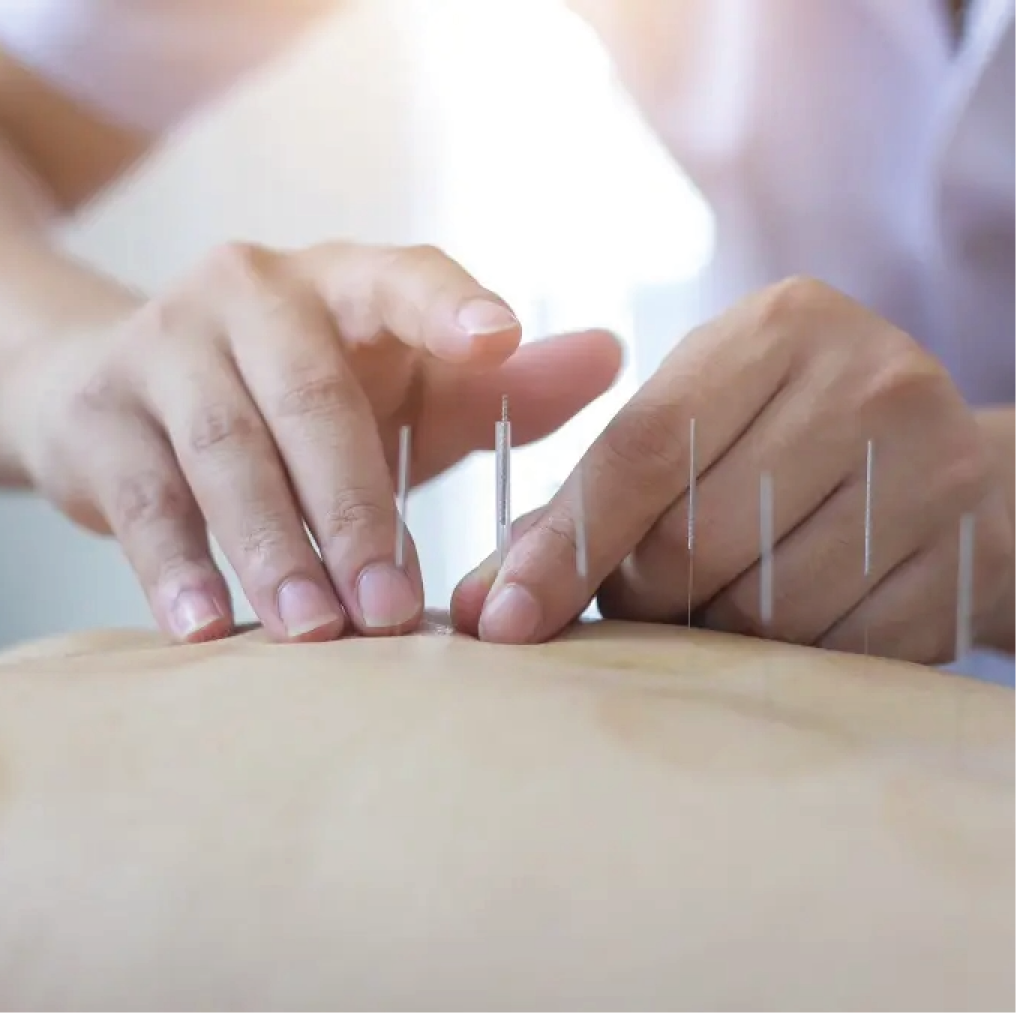 Curso online reconhecido pelo MEC em enfermagem obstétrica