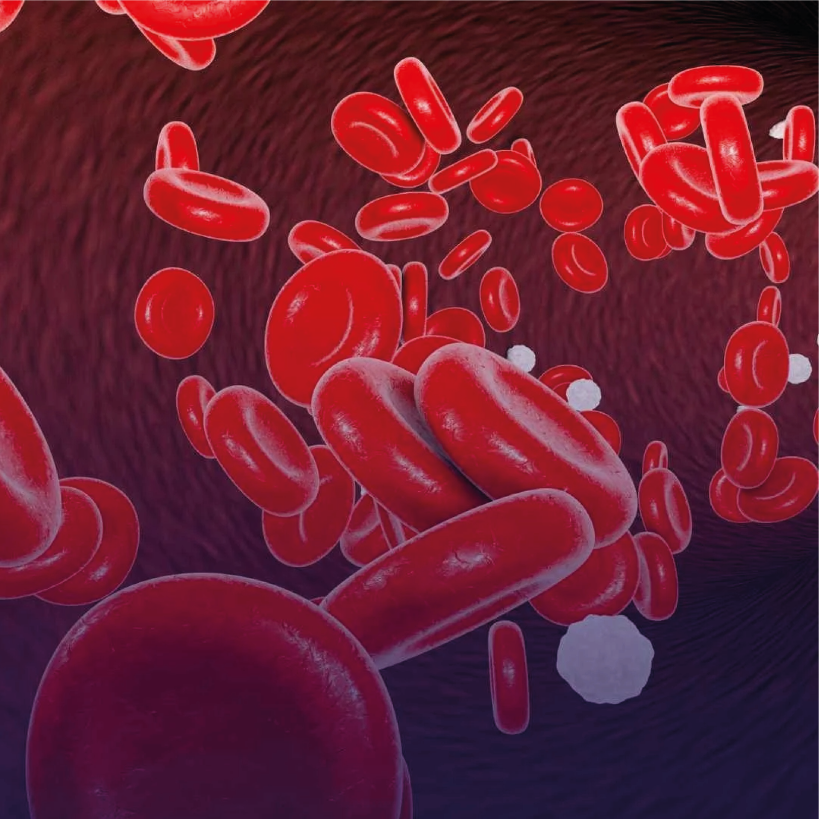 Suporte ventilatório em UTI