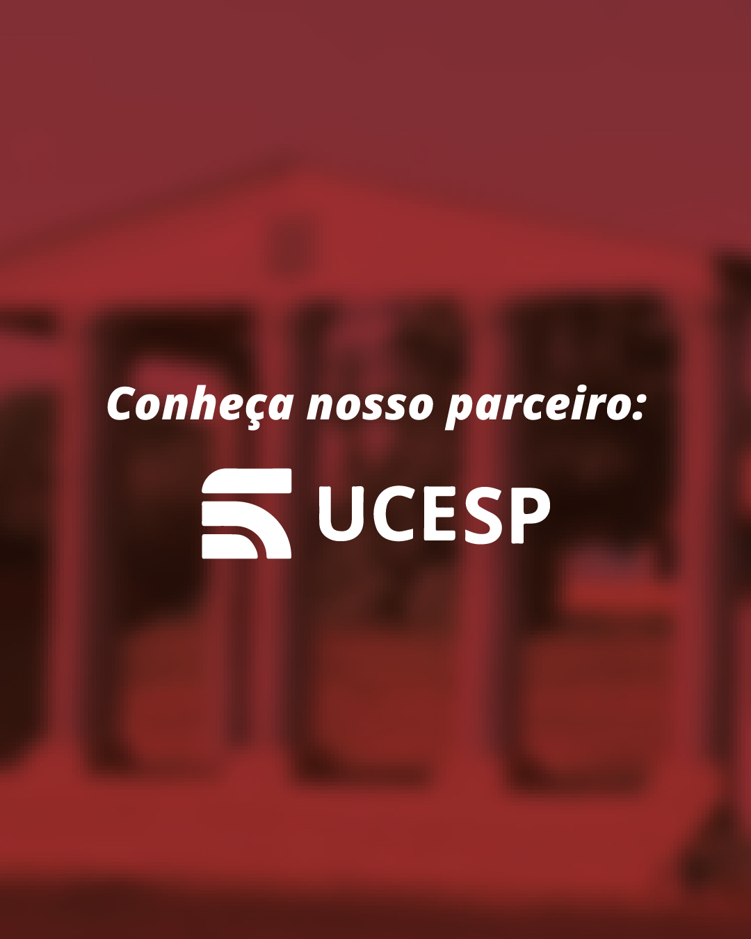 Banner 1